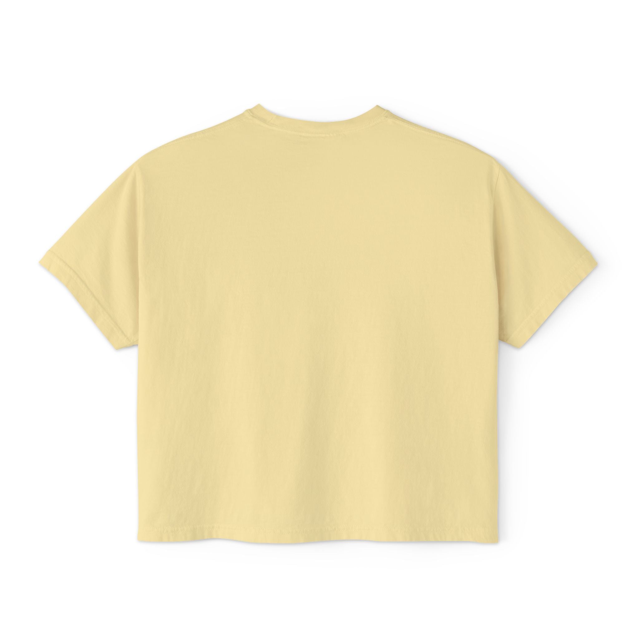 Raising Mini Disciples Women's Boxy Tee —Christian Mom Shirt
